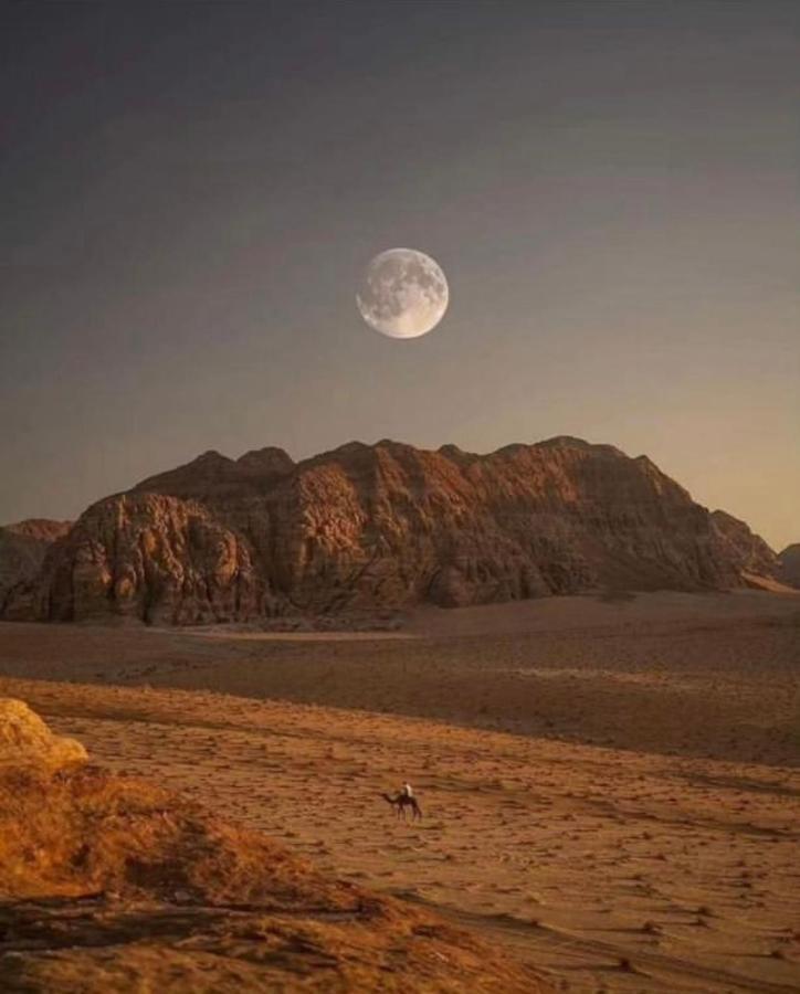 وادي رم Rum Dunes Luxury Camp المظهر الخارجي الصورة